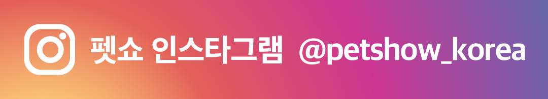 펫쇼 인스타