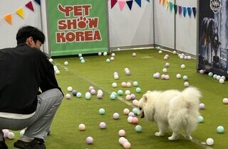 이미지샘플