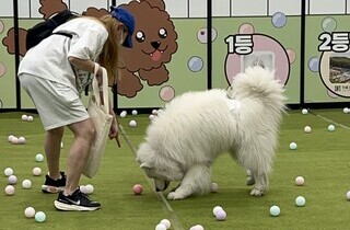 이미지샘플