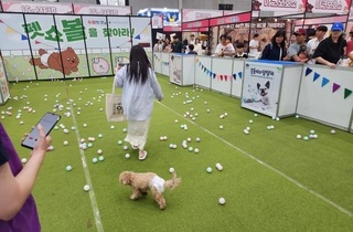 이미지샘플